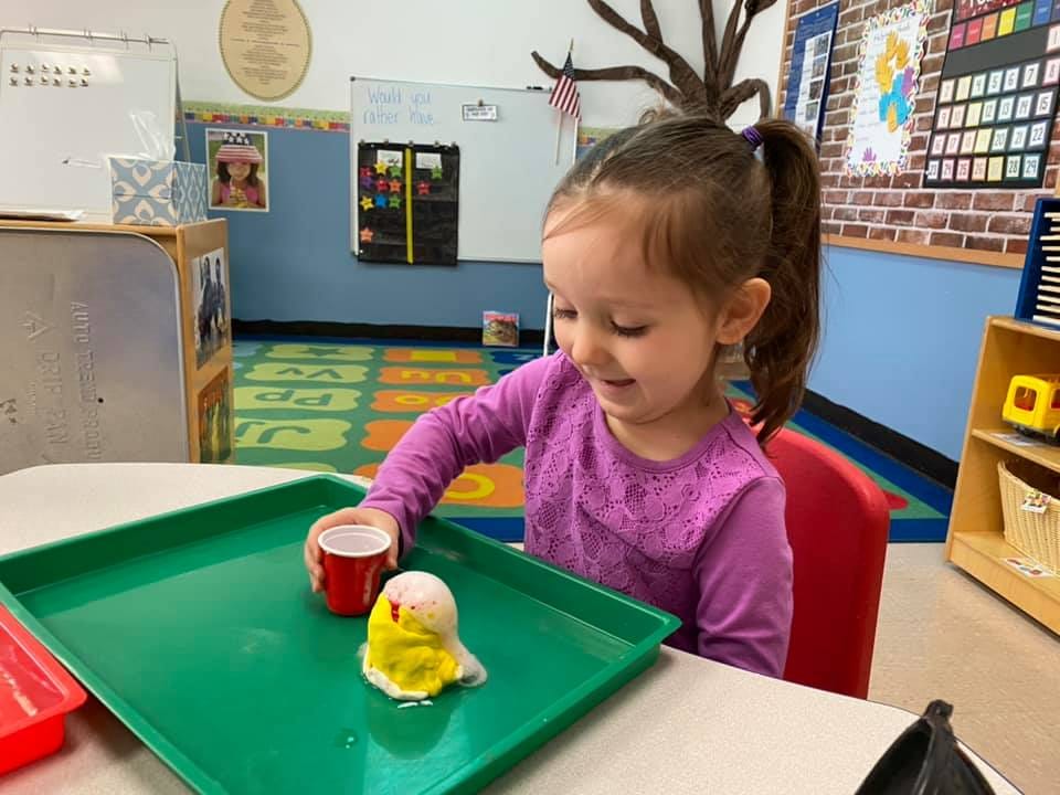 Cactus Wren Preschool photo 28