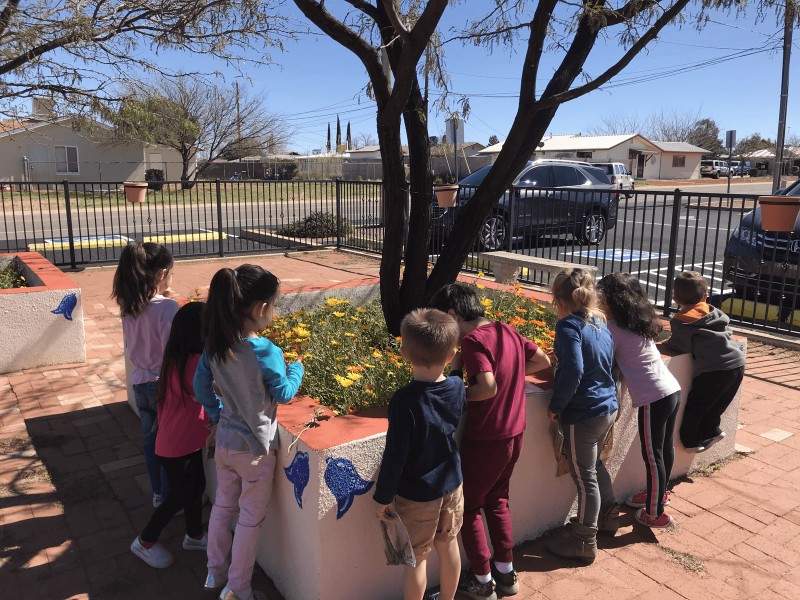 Cactus Wren Preschool photo 21