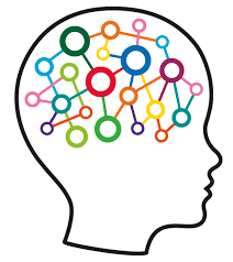 Cognitive Development